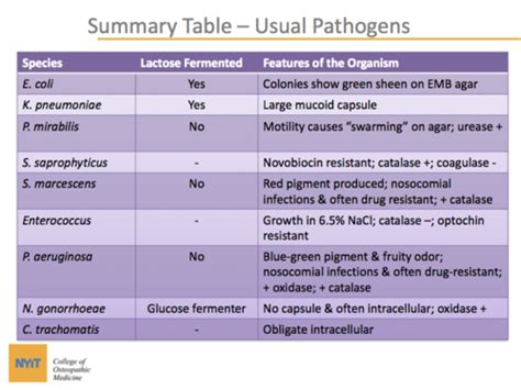 Microbiology Uti Q Pavia Flashcards Quizlet