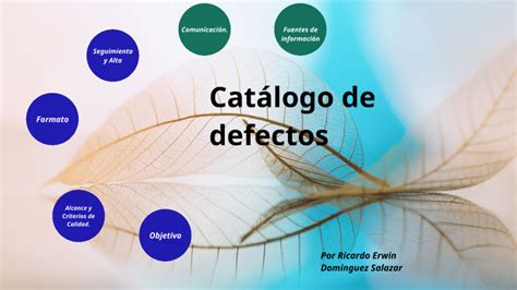 Catálogo De Defectos By Ricardo Dominguez On Prezi