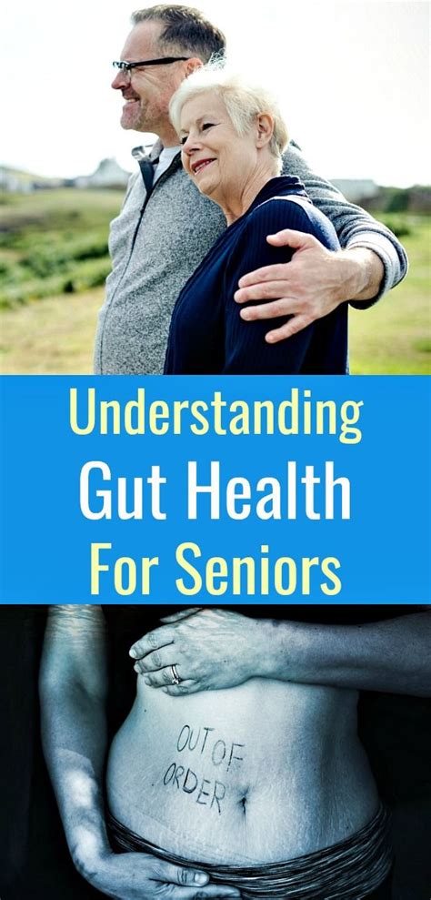 Understanding Gut Health For Seniors | Gut health, Healthy aging ...