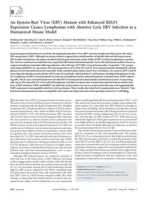 Pdf An Epstein Barr Virus Ebv Mutant With Enhanced Bzlf1 Expression