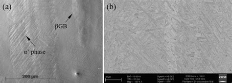 Microstructure Of The Slmed Ti 6al 4v Heat Treated At 705 °c Ac A