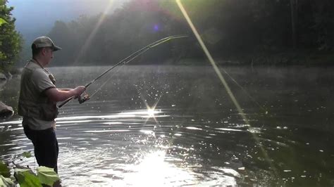 How To Catch 50 Bluegills In 4 Hours YouTube