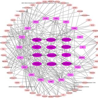 Respiratory Tract Related Compound Target Disease Network The