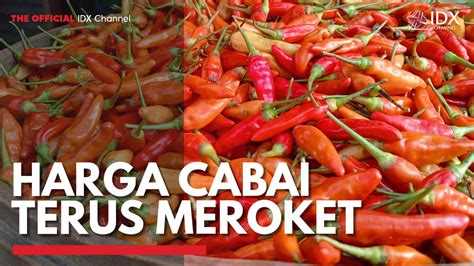 Harga Cabai Terus Meroket Video Dailymotion