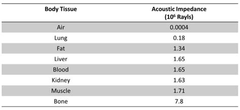 Tissue Echogenicity « VAULT