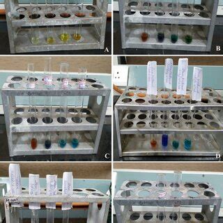 Photo Plate Tests For Alkaloids A Stem Toluene Tests For