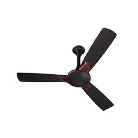 3 Blades 1200 Mm V Guard Romanza Art Starry Black Matte Ceiliing Fan