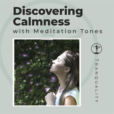 Discovering Calmness With Meditation Tones Album By Deep Sleep