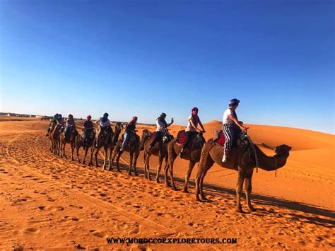 D As Desde Marrakech Al Desierto De Merzouga Con Grupo Morocco