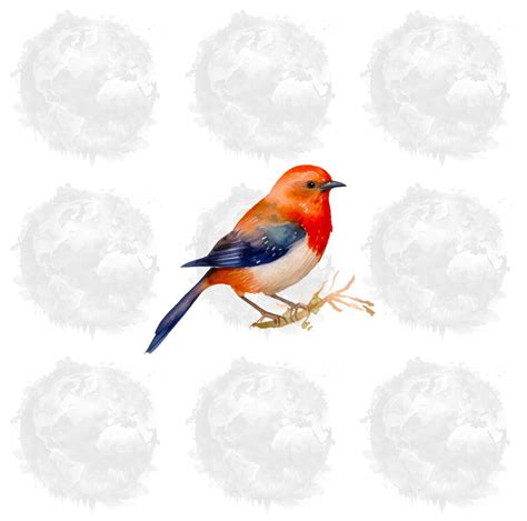 Bird Art, Watercolor Bird Clipart, Watercolor Birds, Bird Clipart ...