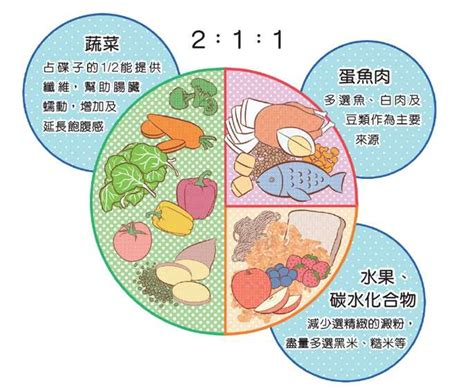 比168斷食法更容易！減重醫師公開「微低碳211餐盤」飲食原則，讓你吃得飽又不怕胖 風傳媒