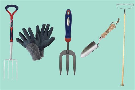 Essential gardening tools list for new gardeners - BBC Gardeners World ...