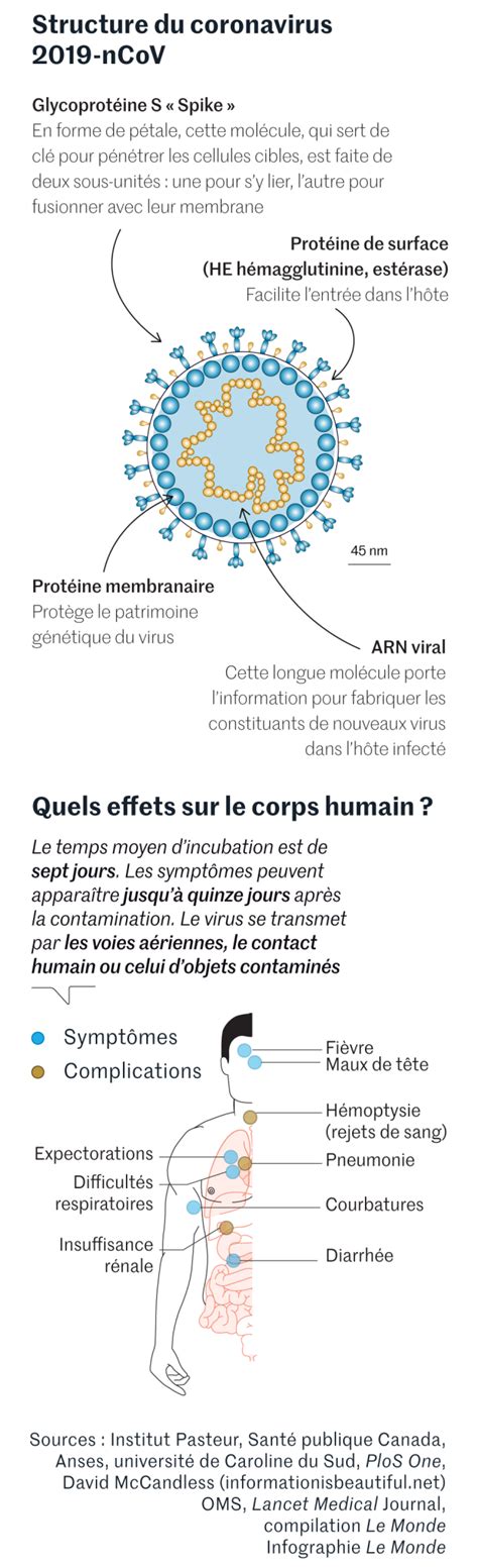 Diagnostic Vaccin Volution O En Est La Recherche Sur Le Coronavirus