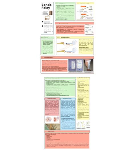 Sonda Foley | PDF