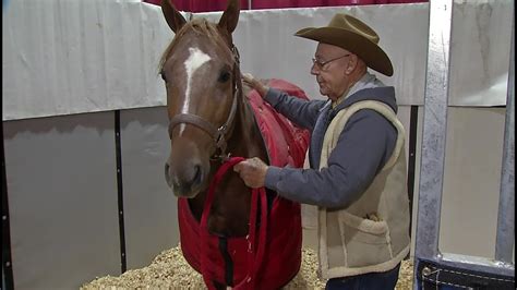 Ohio Horse Trainer Has Attended Every Single Quarter Horse Congress