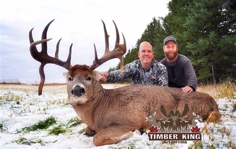 Alberta Whitetail Deer Hunts Timber King Outfitting