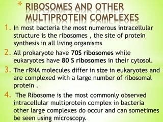 Internal structure of bacteria | PPT