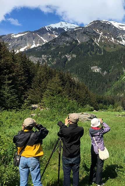 Cruise Ship Shore Excursions Alaska Nature Tours