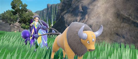 Pok Mon Ecarlate Et Violet Astuce Pour Obtenir Un Tauros De Kanto