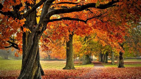 Autumn Landscape Wallpaper (69+ images)