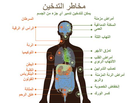 أثر التدخين في تلويث البيئة المنزلية المدينة الرقمية لكبار السن فى