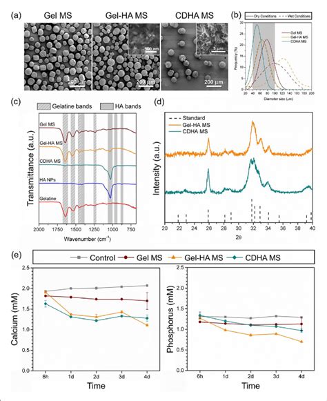 Physicochemical Characterisation Of Gel Ms Gel Ha Ms And Cdha Ms A