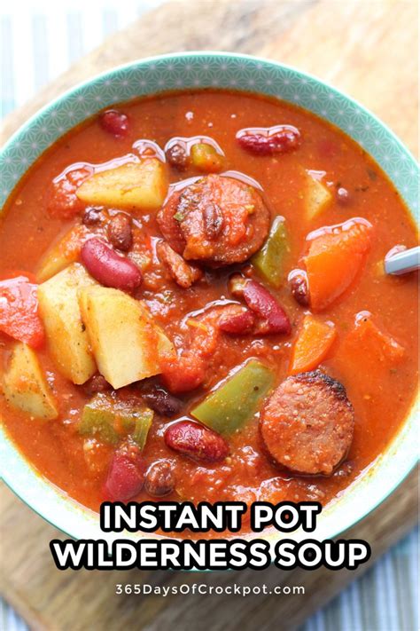 Wilderness Soup 365 Days Of Slow Cooking And Pressure Cooking Recipe Instant Pot Dinner