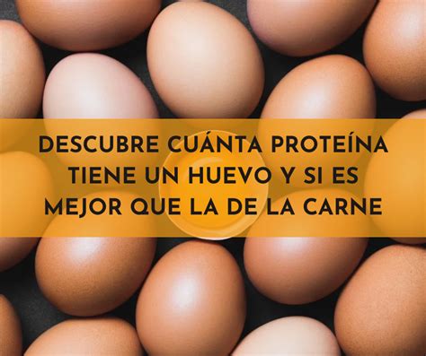 Descubre Cu Nta Prote Na Tiene Un Huevo Y Si Es Mejor Que La De La Carne