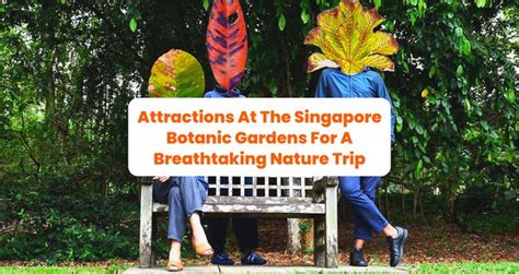 Attractions At The Singapore Botanic Gardens For A Breathtaking Nature