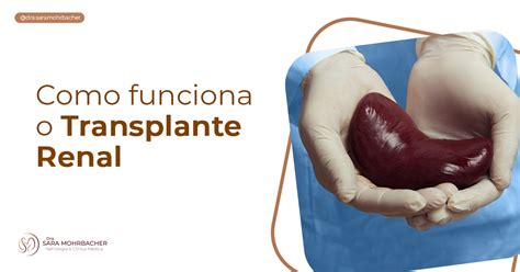 Como Funciona O Transplante Renal Dra Sara Mohrbacher