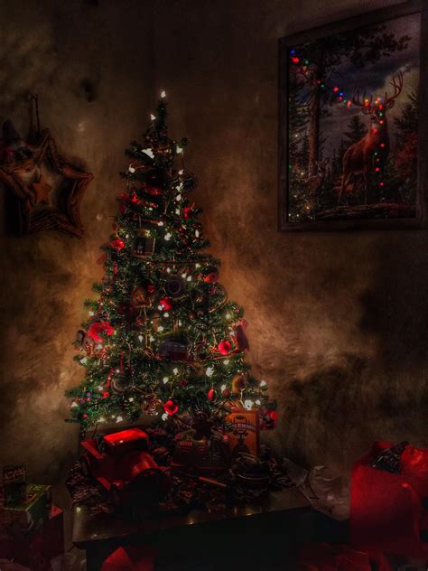 Dark Christmas Tree looks sick. : r/pics