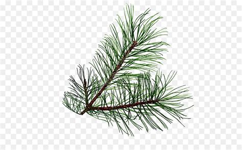 pine tree border clipart 10 free Cliparts | Download images on ...