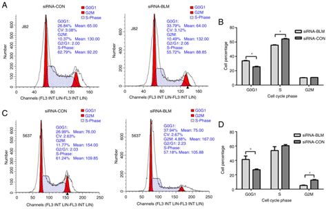 Downregulation Of Blm Recq Helicase Inhibits Proliferation Promotes The Apoptosis And Enhances