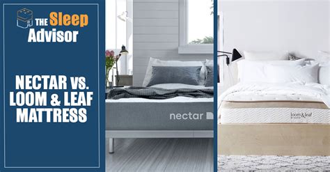 Nectar Vs Loom Leaf Mattress Comparison Updated For