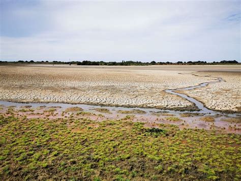 Sequía Matalascañas también seca Doñana Noticias de Andalucía EL PAÍS