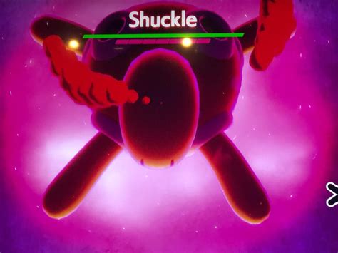 Shuckle is sick of all the memes saying that it's weak. 7 shield bars ...