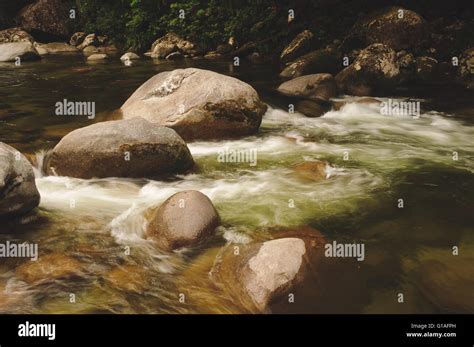 Mossman Gorge River Near Port Douglas In Far North Queensland Stock