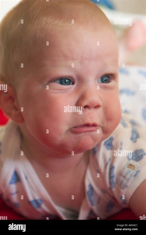 Newborn Baby Portrait Stock Photo Alamy