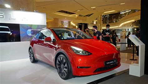 Tesla Model Y Buatan Jerman Diduga Pakai Baterai BYD