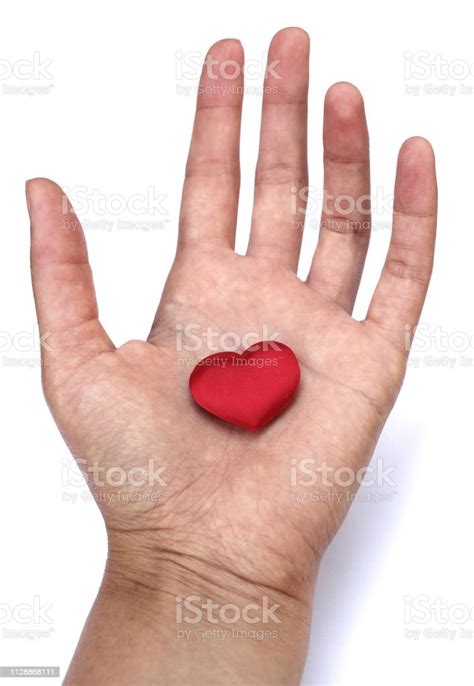 Heart In Hand Romantic Concept Big Red Heart In Womans Open Palm