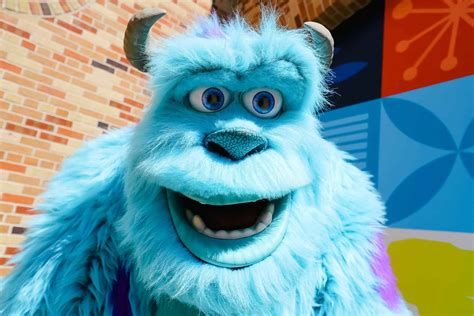 Meet Sulley From Monsters Inc At Disney World