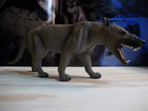 Hyaenodon (Mojö Fun) | Dinosaur Toy Blog