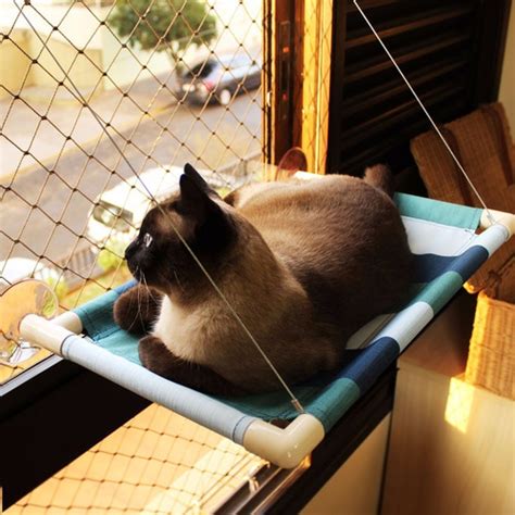 Cama De Gatos King Para Janela Suspensa Catbed Parede Azul R 189 90