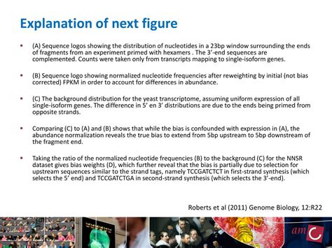 Biases In Rna Seq Data October 15th 2012 Nbic Advanced Rna Seq Course Ppt Download