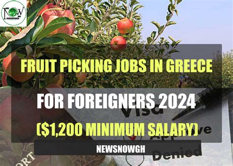 Fruit Picking Jobs in Greece for Foreigners 2024 ($1,200 Salary)