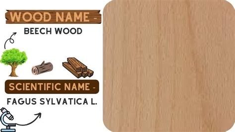 40 Different Types Of Wood Lumber Or Wood Types Popular Hard Wood