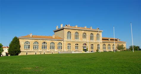 Aix Marseille University (AMU) (Marseille, France)