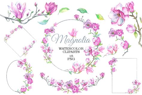 Magnolia Watercolor Clipart - Design Cuts