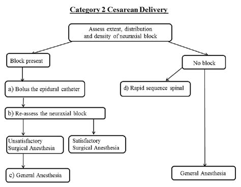 Schematic Of Category 2 Cesarean Delivery Algorithm Download