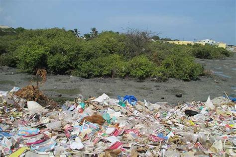 Takeaways From The Global Negotiations On A Treaty To End Plastic